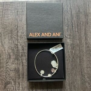 alex and ani friendship bracelet